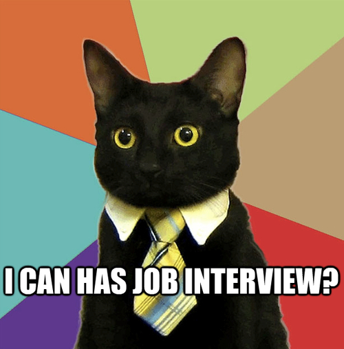 I Can Has Job Interview